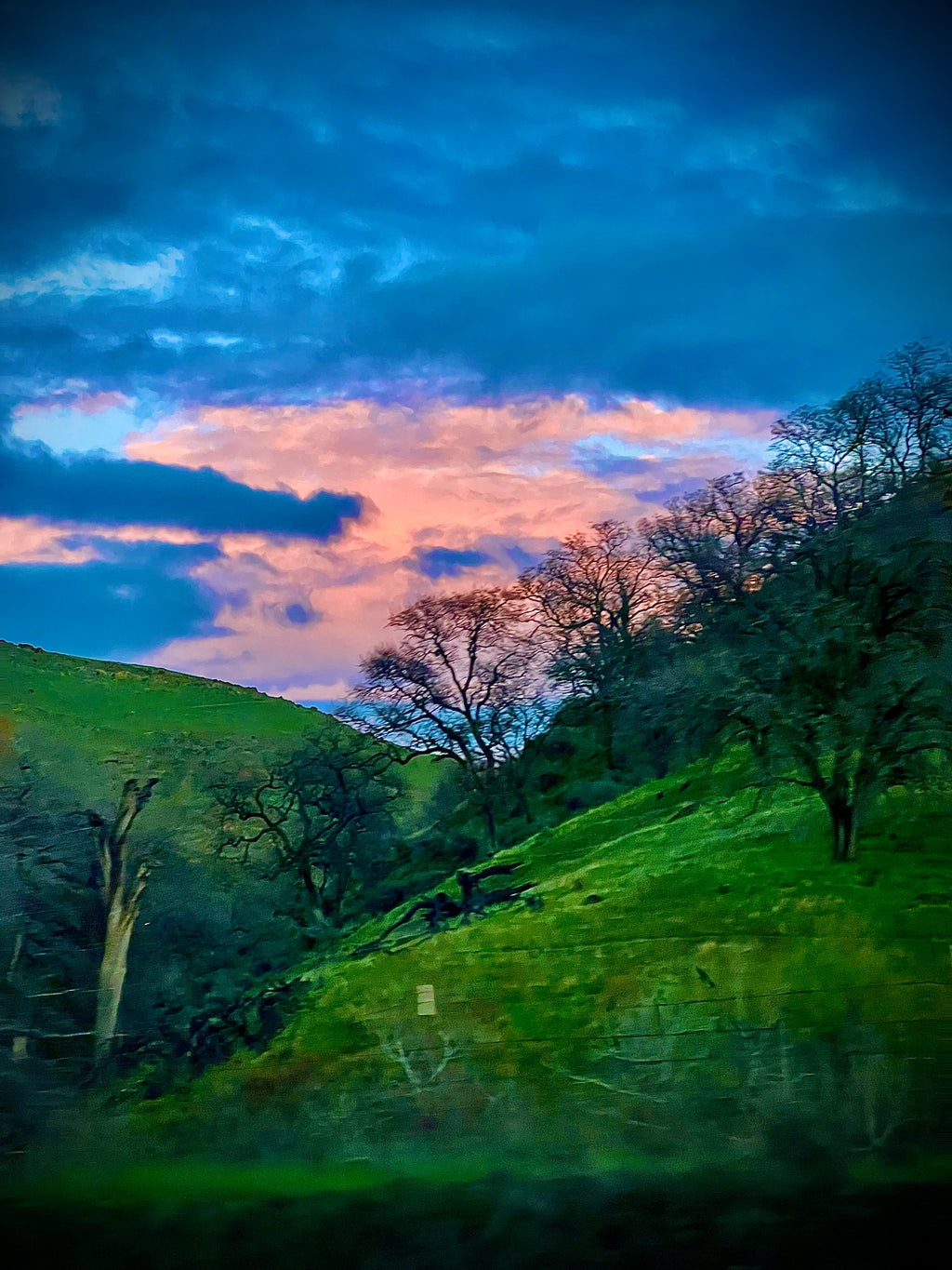 #1126 VINTAGE REGIS LIFETIME MAINSPRING MEN'S WRISTWATCH 35.4mm 18.5mm LUG RUNS