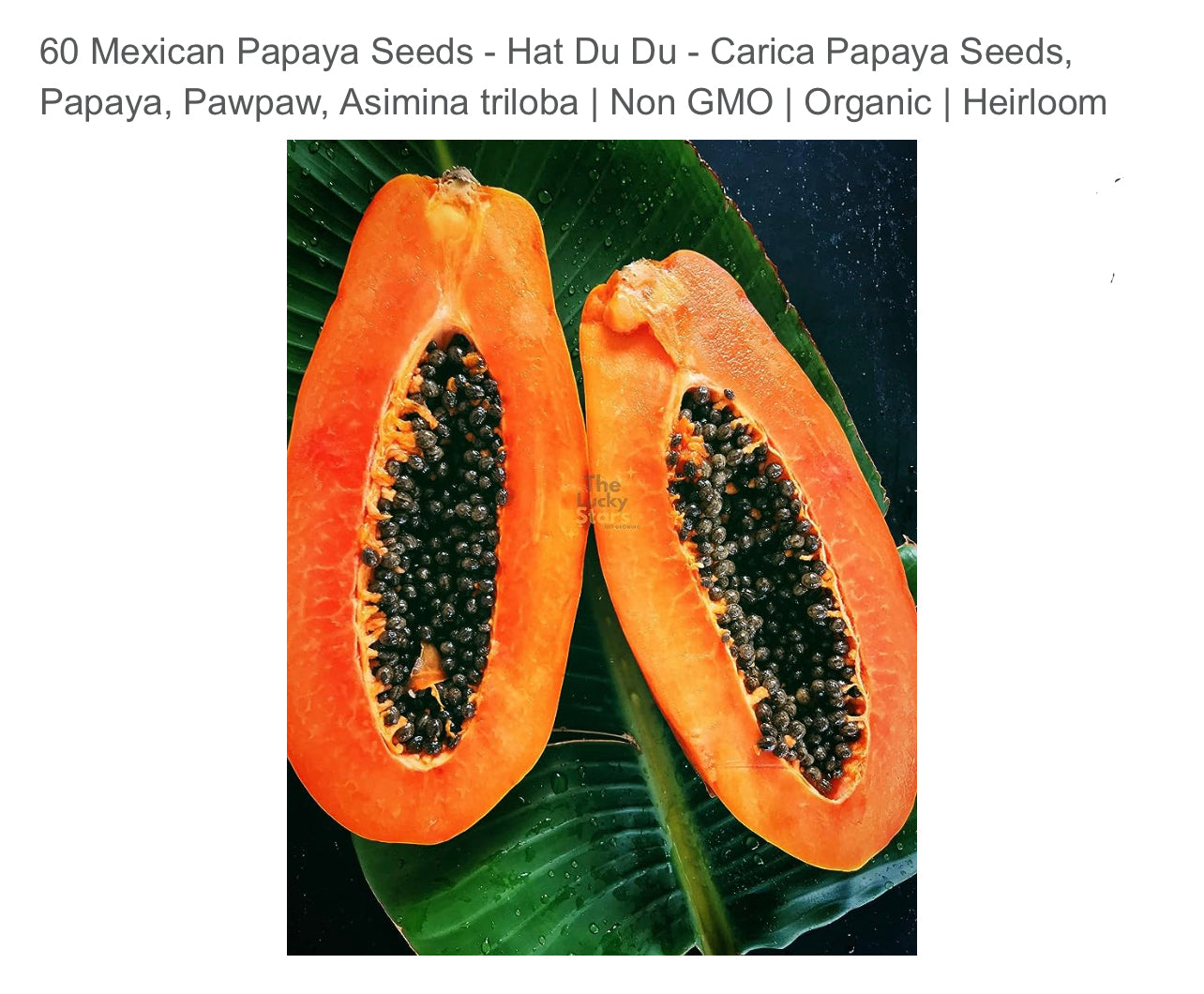 Papaya seeds qty 5