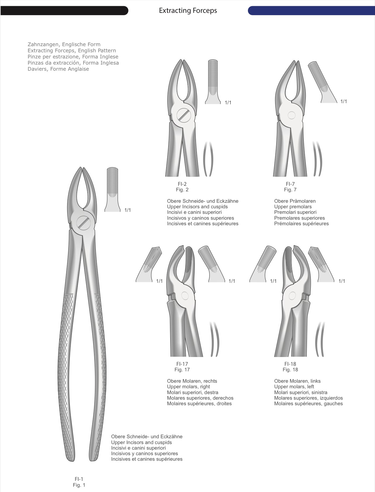 HTL Dental surgical Instruments catalog