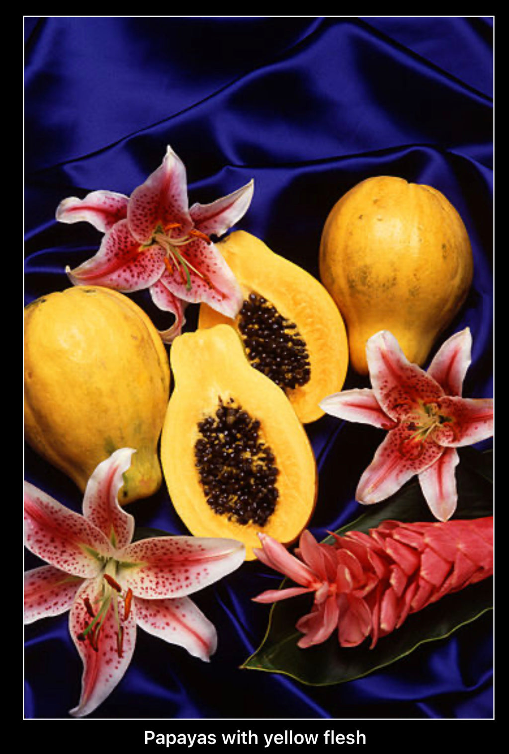 Papaya seeds qty 5