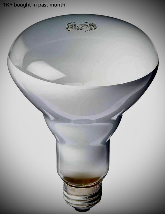 Soft White 65-watt Q75BR40 Indoor Harlogen Flood Light Bulb