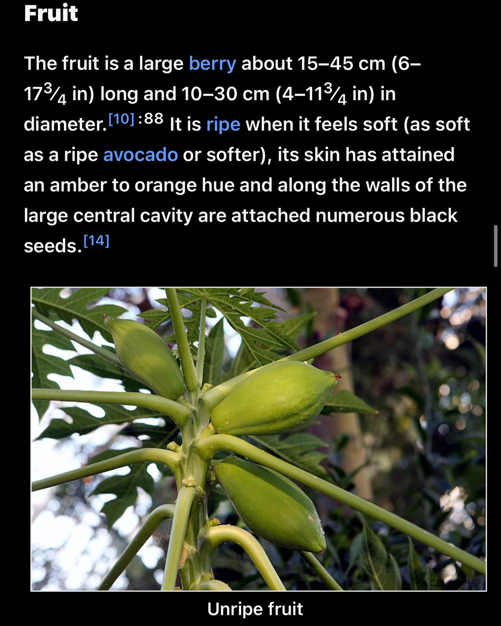 Papaya seeds qty 5