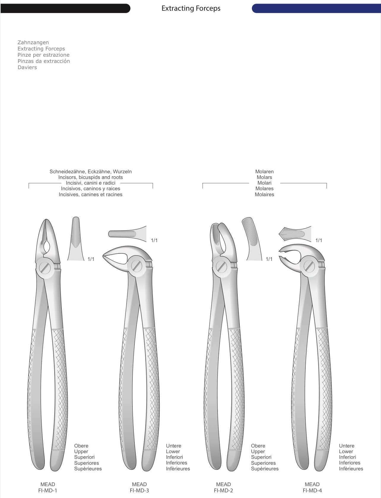 HTL Dental surgical Instruments catalog