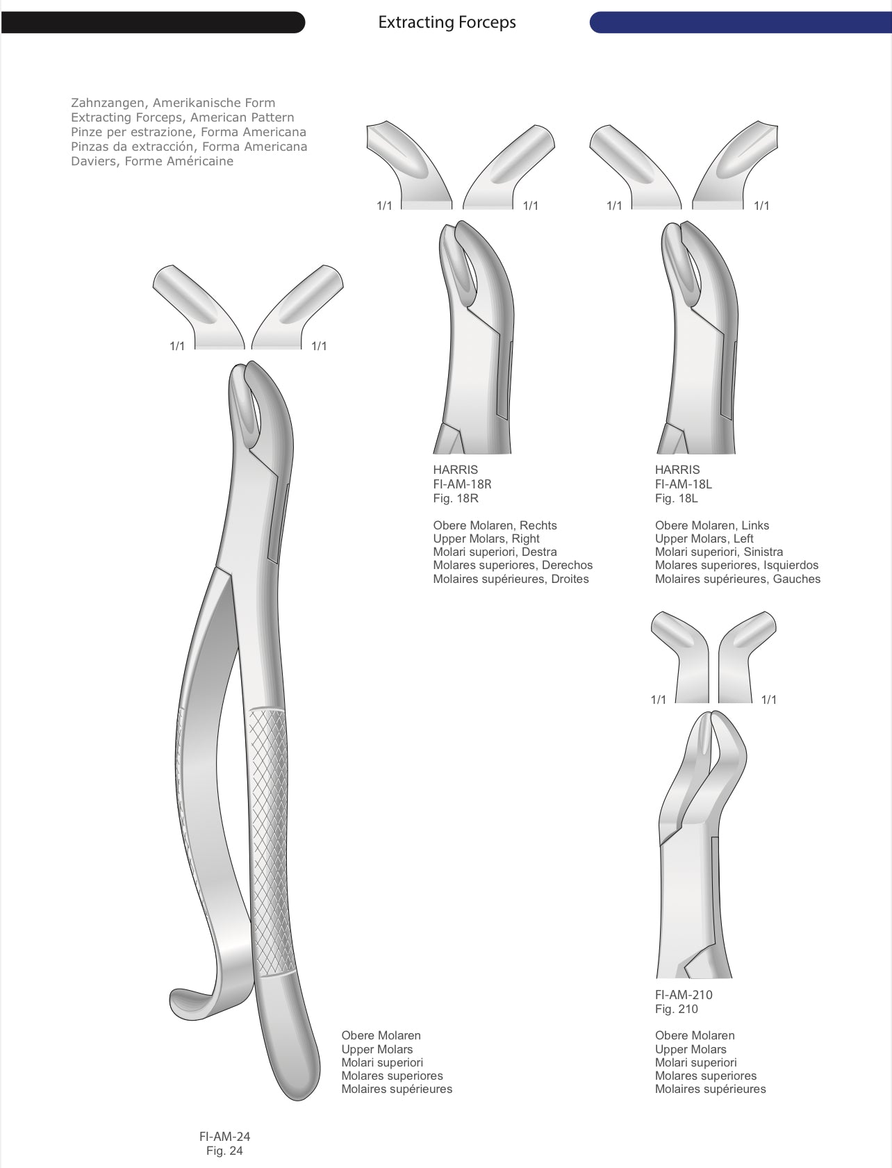 HTL Dental surgical Instruments catalog