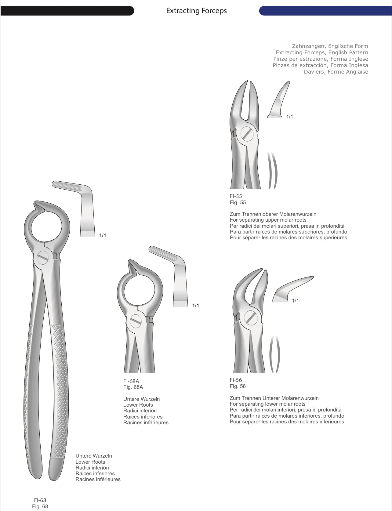 HTL Dental surgical Instruments catalog