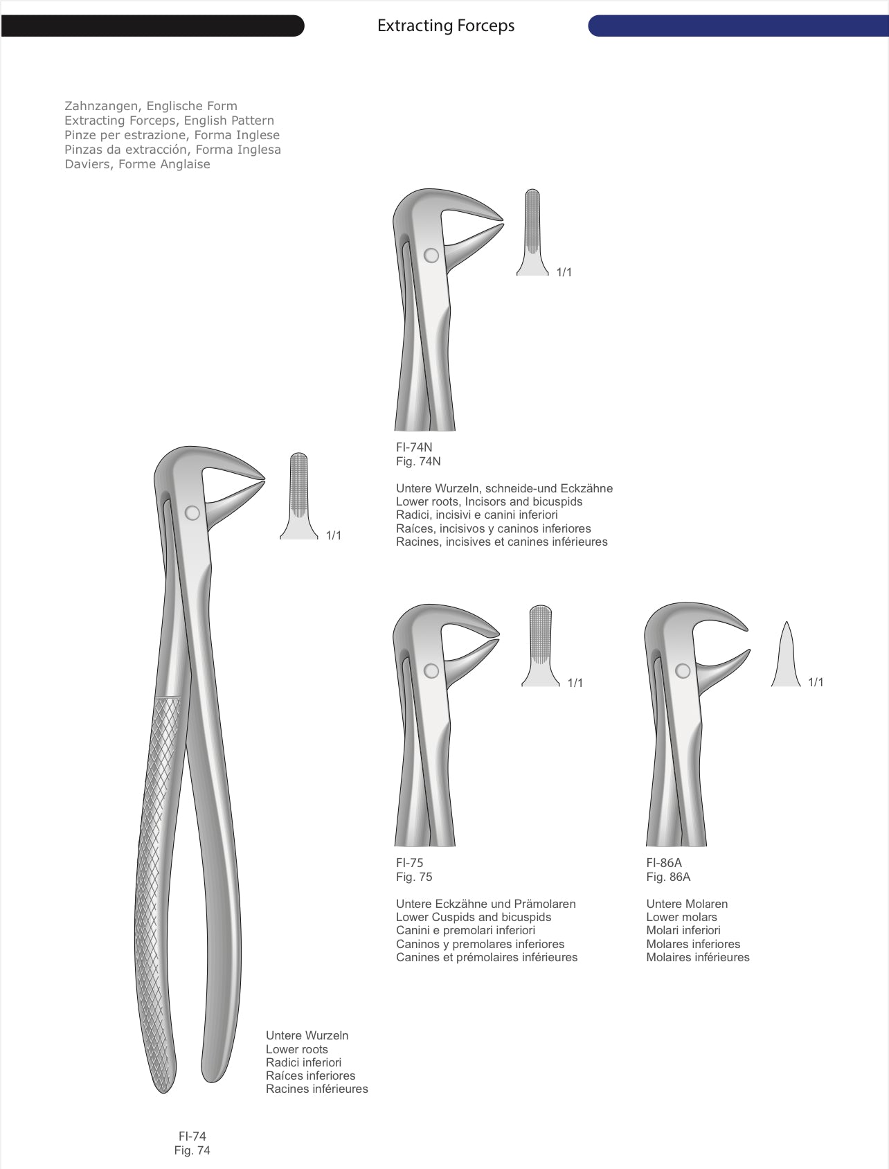 HTL Dental surgical Instruments catalog