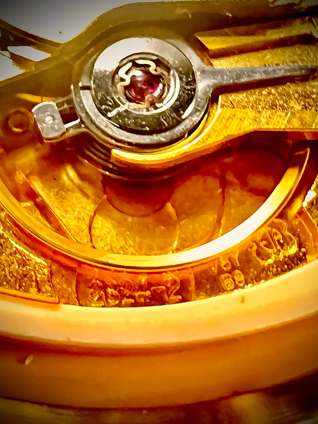 #1364 Alfex swiss automatic rare Exbition back