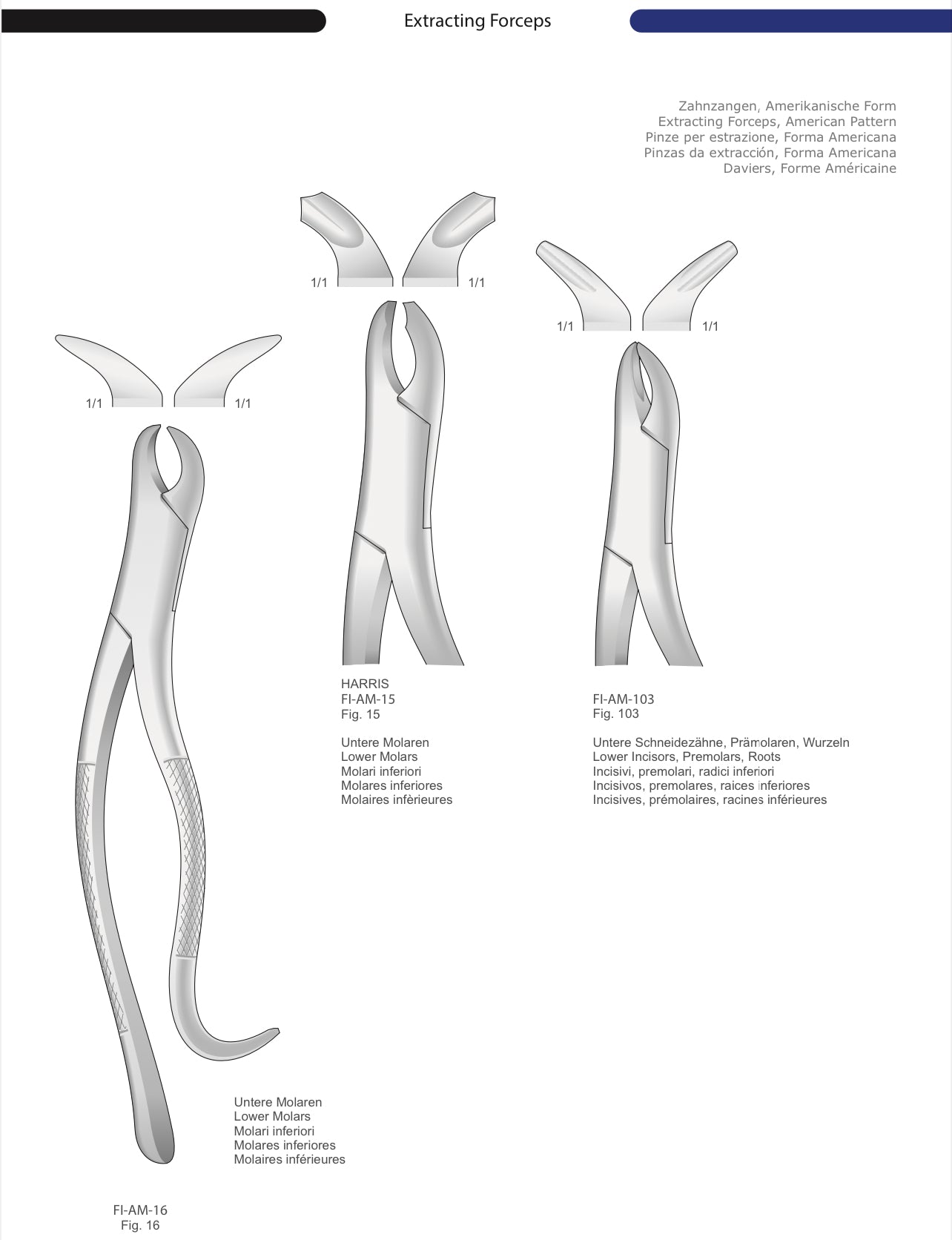 HTL Dental surgical Instruments catalog