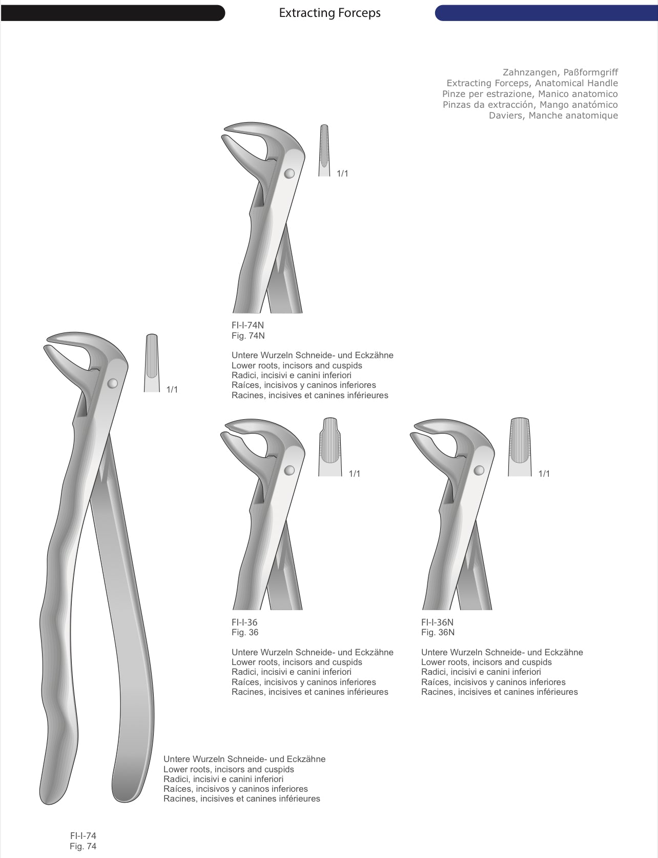 HTL Dental surgical Instruments catalog