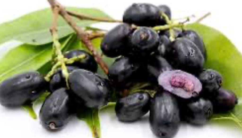 Jamun Commonly known as Java plum or Indian blackberry in English, Jamun or Jambul in Hindi, Jambufalam or Mahaphala in Sanskrit, Naavar Pazham in Tamil and Neredu in Telugu, it goes by the botanical name Syzygium cumini