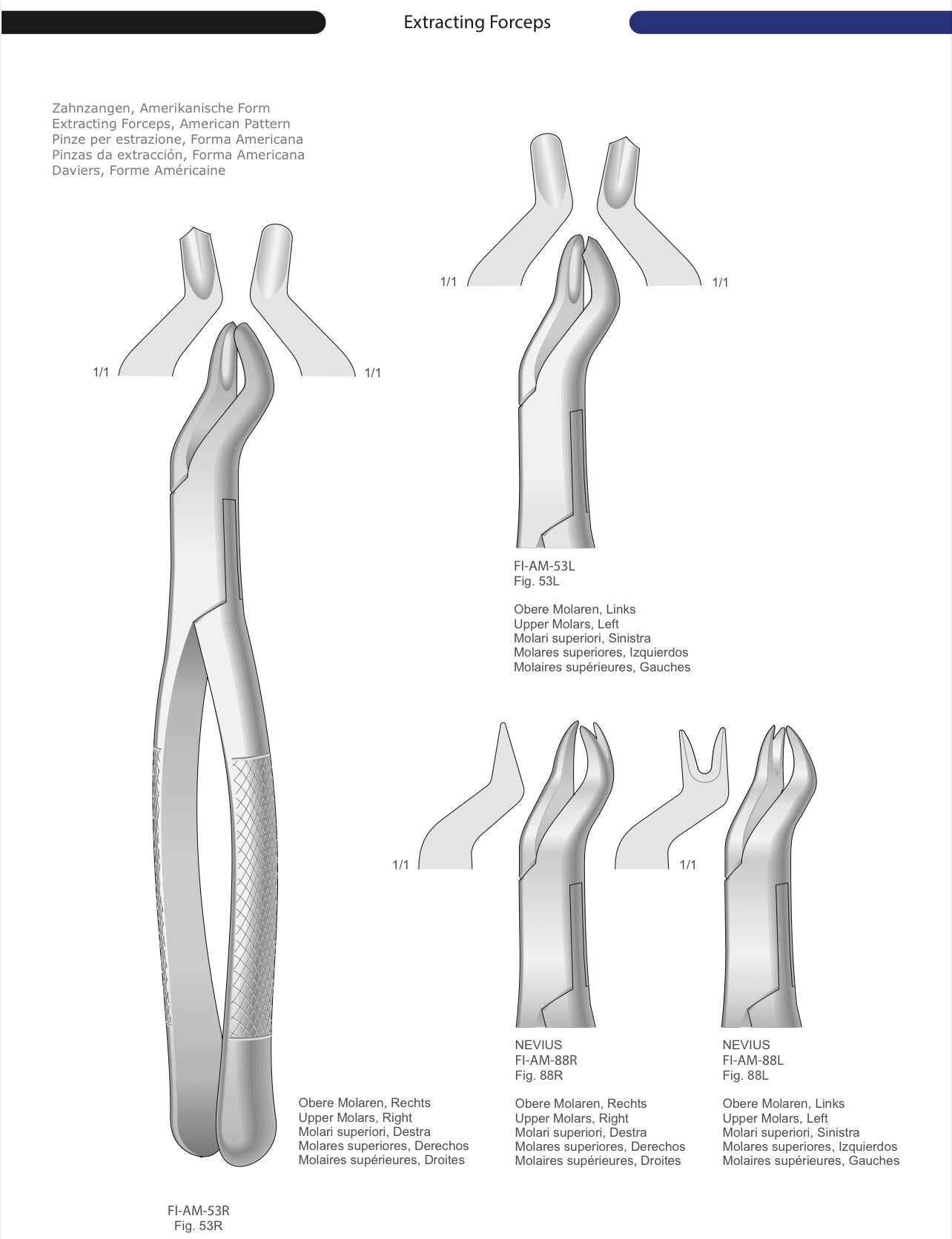 HTL Dental surgical Instruments catalog