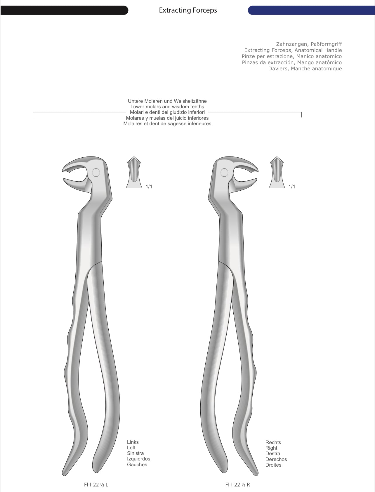 HTL Dental surgical Instruments catalog