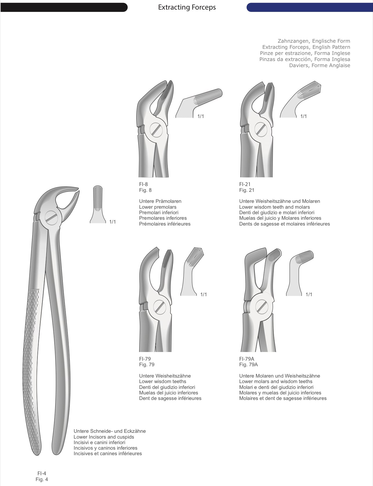 HTL Dental surgical Instruments catalog