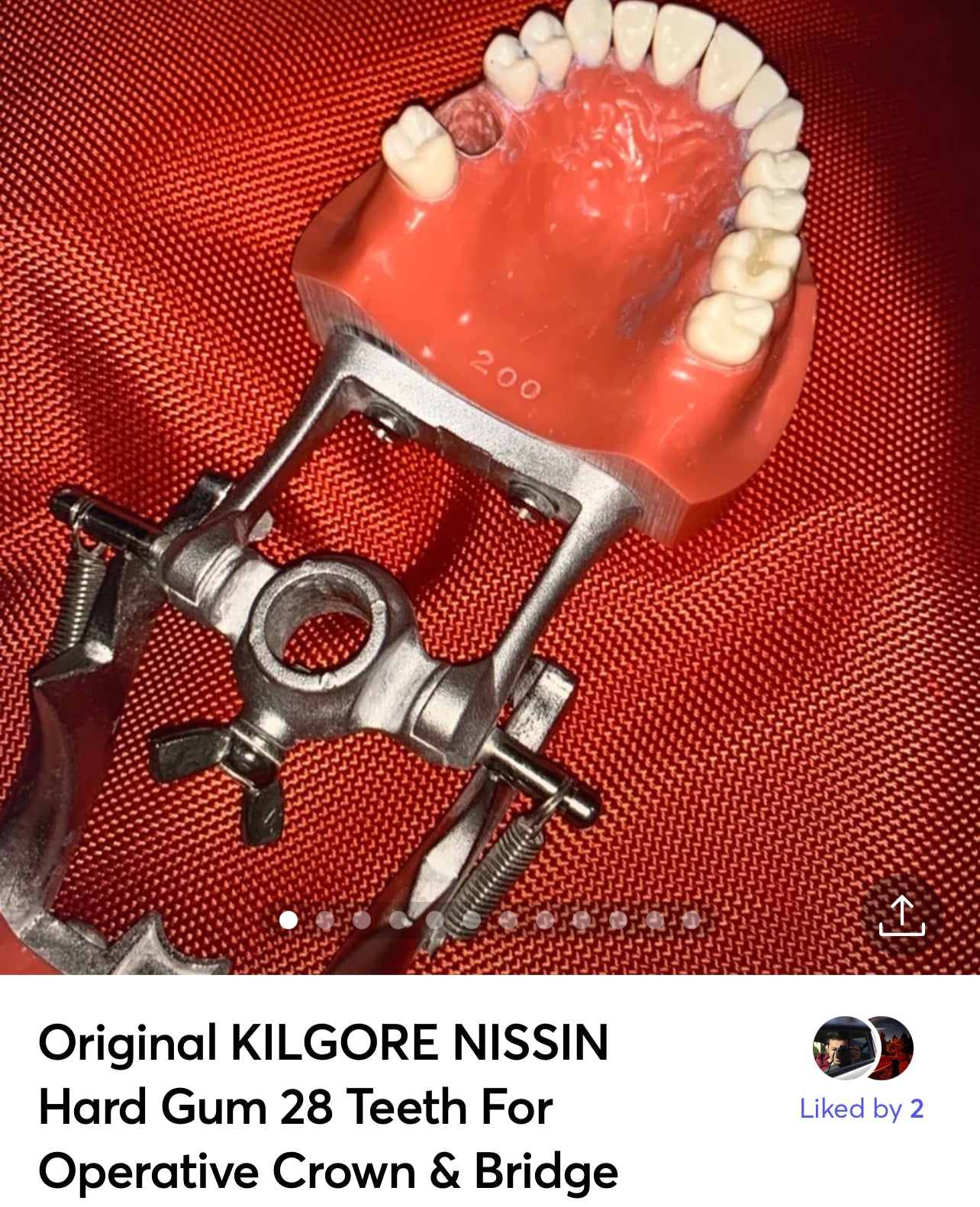 USED original KILGORE NISSIN Hard Gum 28 Teeth For Operative Crown & bridge