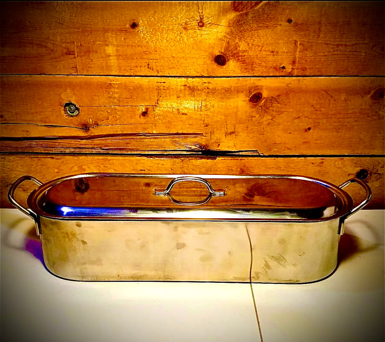 Inox 18" Fish Poacher 18c V I S Stainless Steel w/ Tray - Swanky Barn