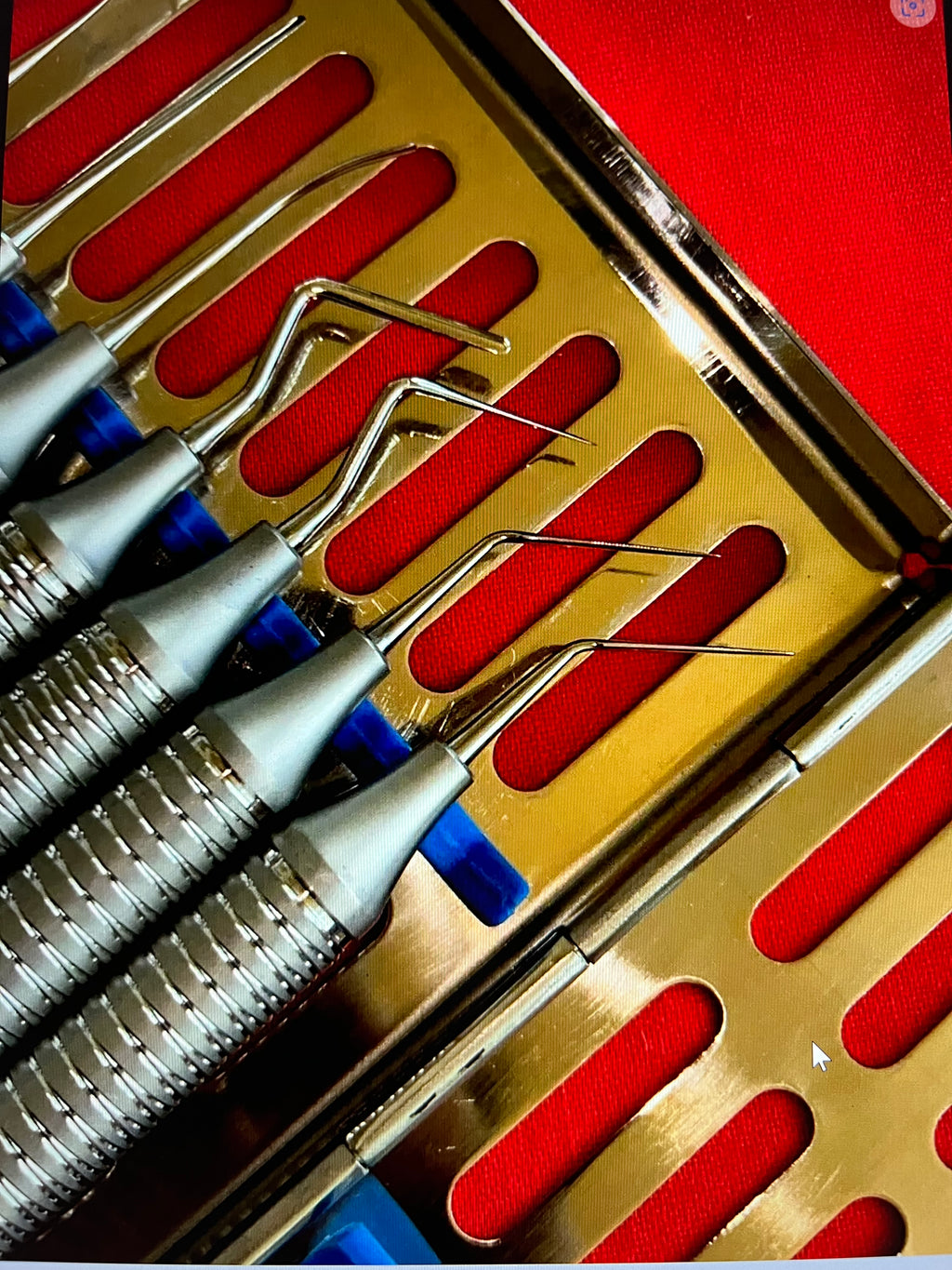 Set Of 8 Dental Periotome Scaler PDL Periodontal Ligament Atraumatic Extraction with autoclave Cassette