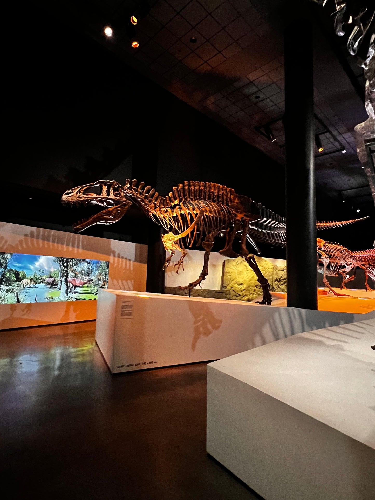 Enjoy a trip to Dinosaurs Exbition at  Houston Texas  Museum of Natural Sciences