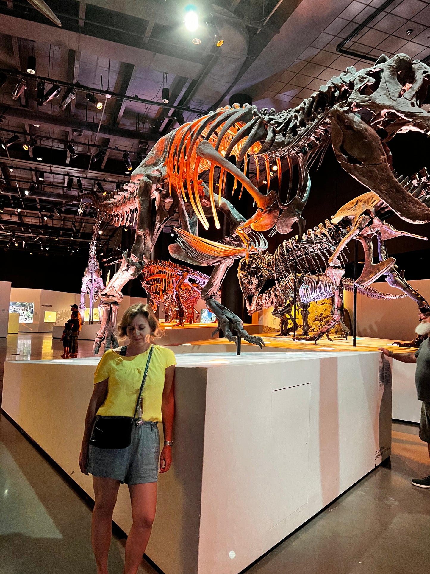 Enjoy a trip to Dinosaurs Exbition at  Houston Texas  Museum of Natural Sciences