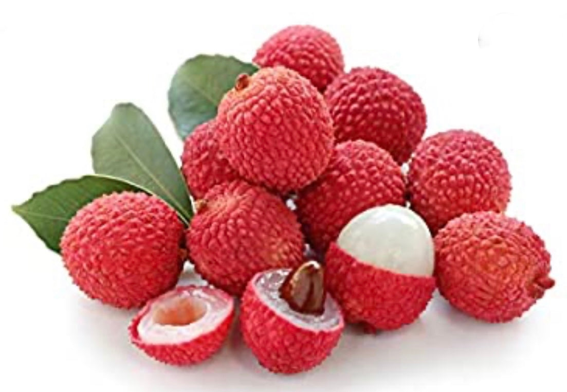 RAMBUTAN ORIENTAL LYCHEE SEED ONLY