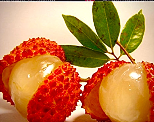 RAMBUTAN ORIENTAL LYCHEE SEED ONLY