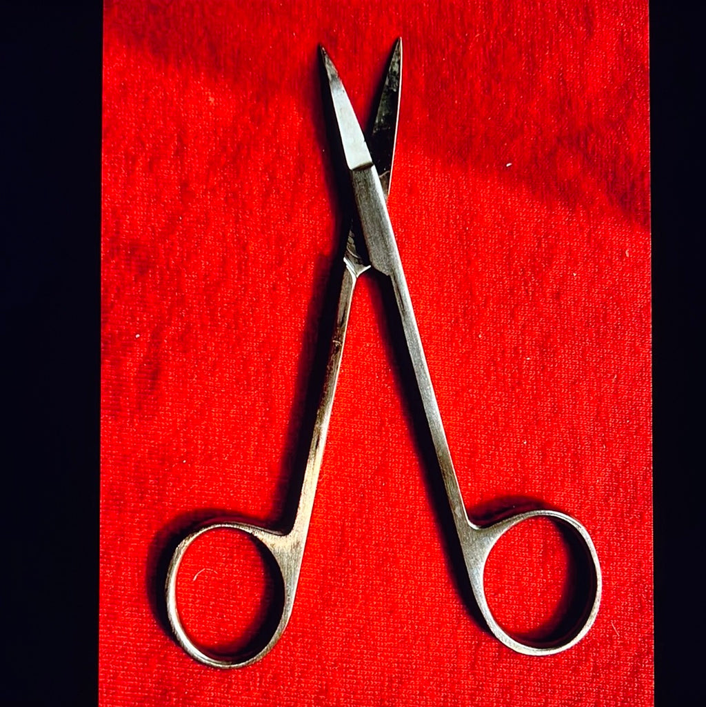 302 Brasseler Iris Curved Scissors