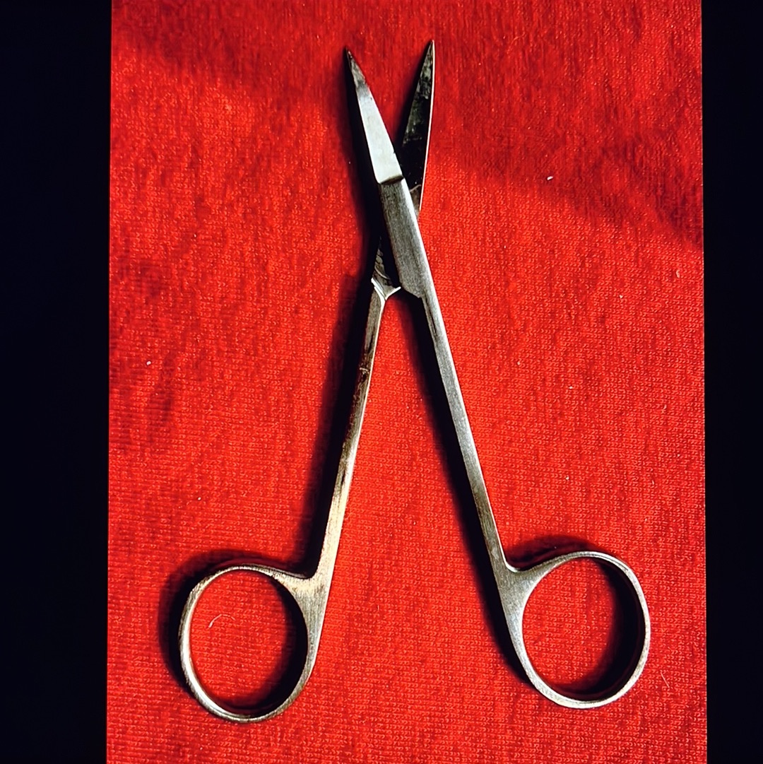 302 Brasseler Iris Curved Scissors