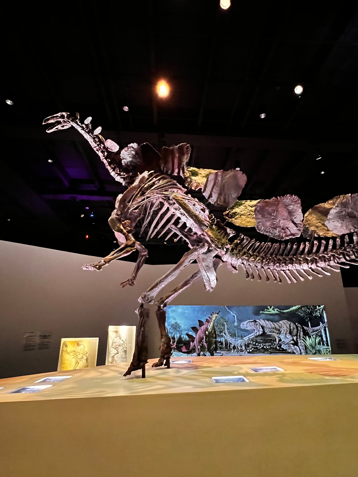 Enjoy a trip to Dinosaurs Exbition at  Houston Texas  Museum of Natural Sciences