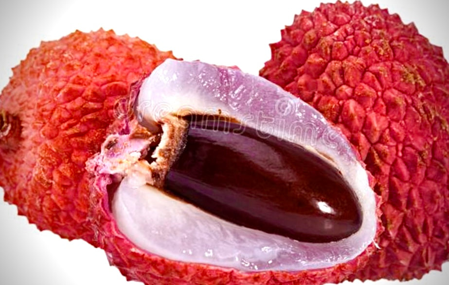 RAMBUTAN ORIENTAL LYCHEE SEED ONLY