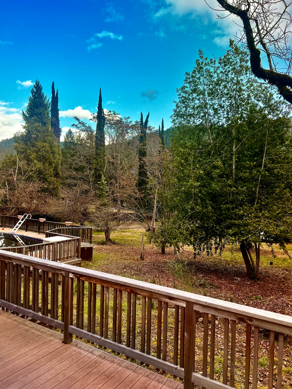 #340 60 Year Old RARE new condition Large professional mechanical stopwatch 1 100 mechanical stopwatch SLAVA Chronometer stop split 1969