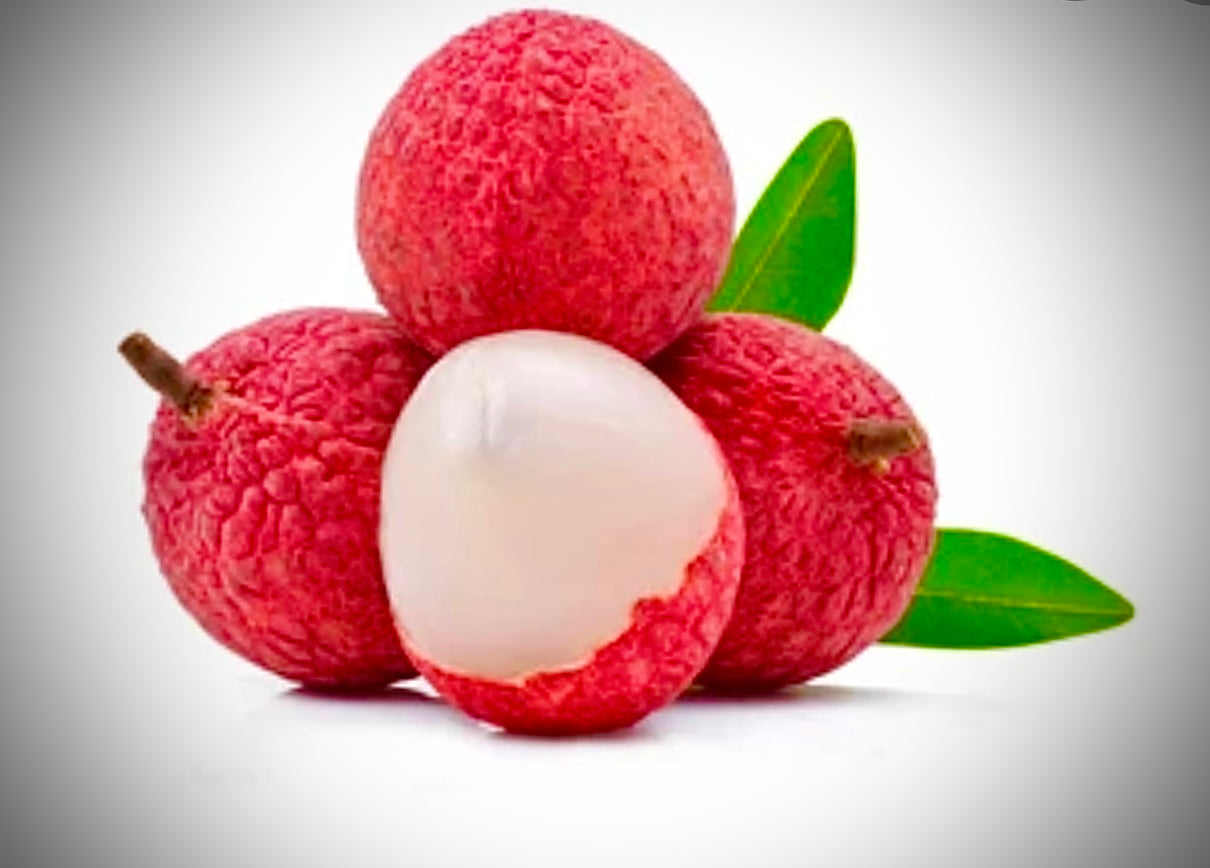 RAMBUTAN ORIENTAL LYCHEE SEED ONLY