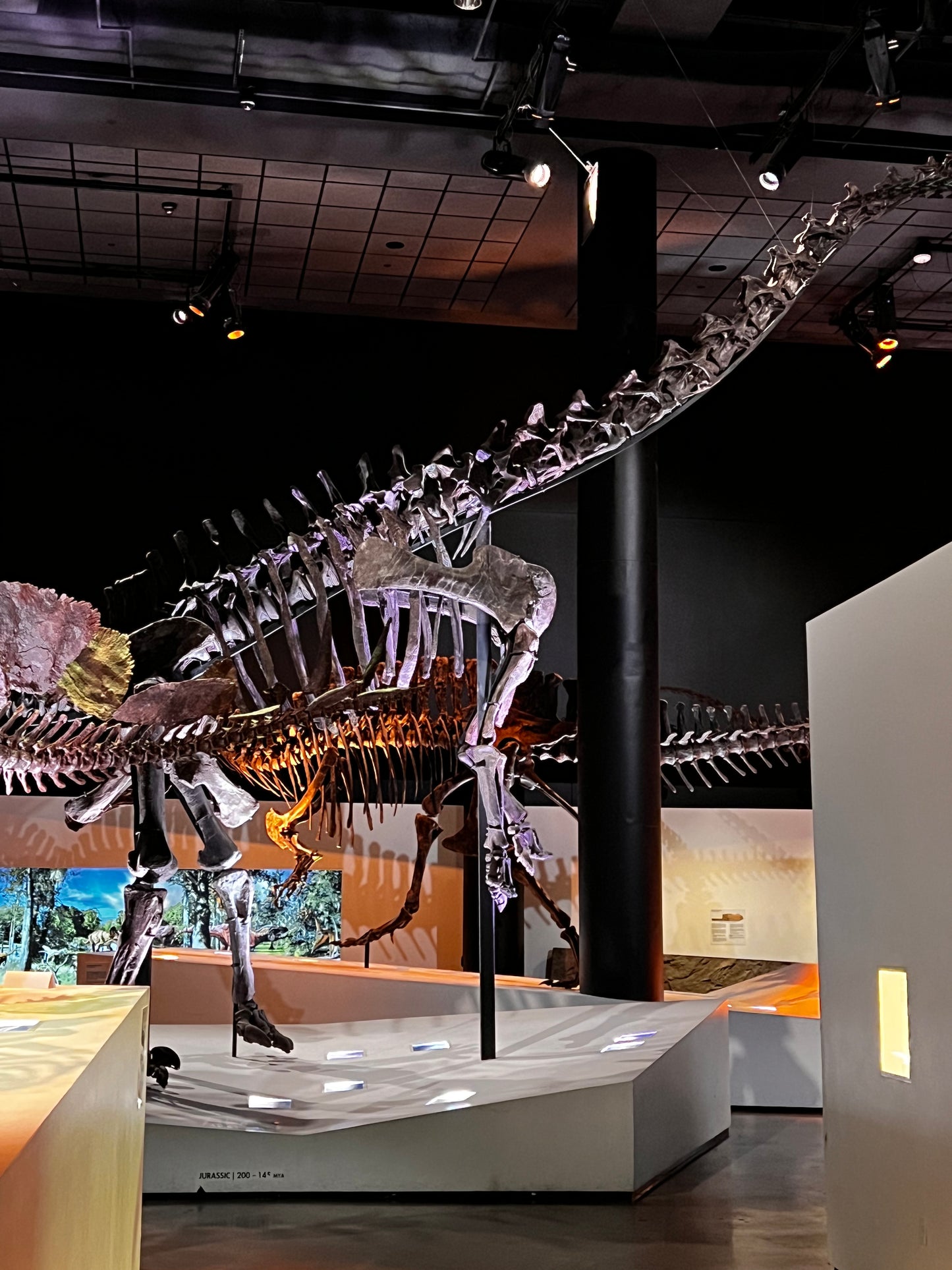 Enjoy a trip to Dinosaurs Exbition at  Houston Texas  Museum of Natural Sciences