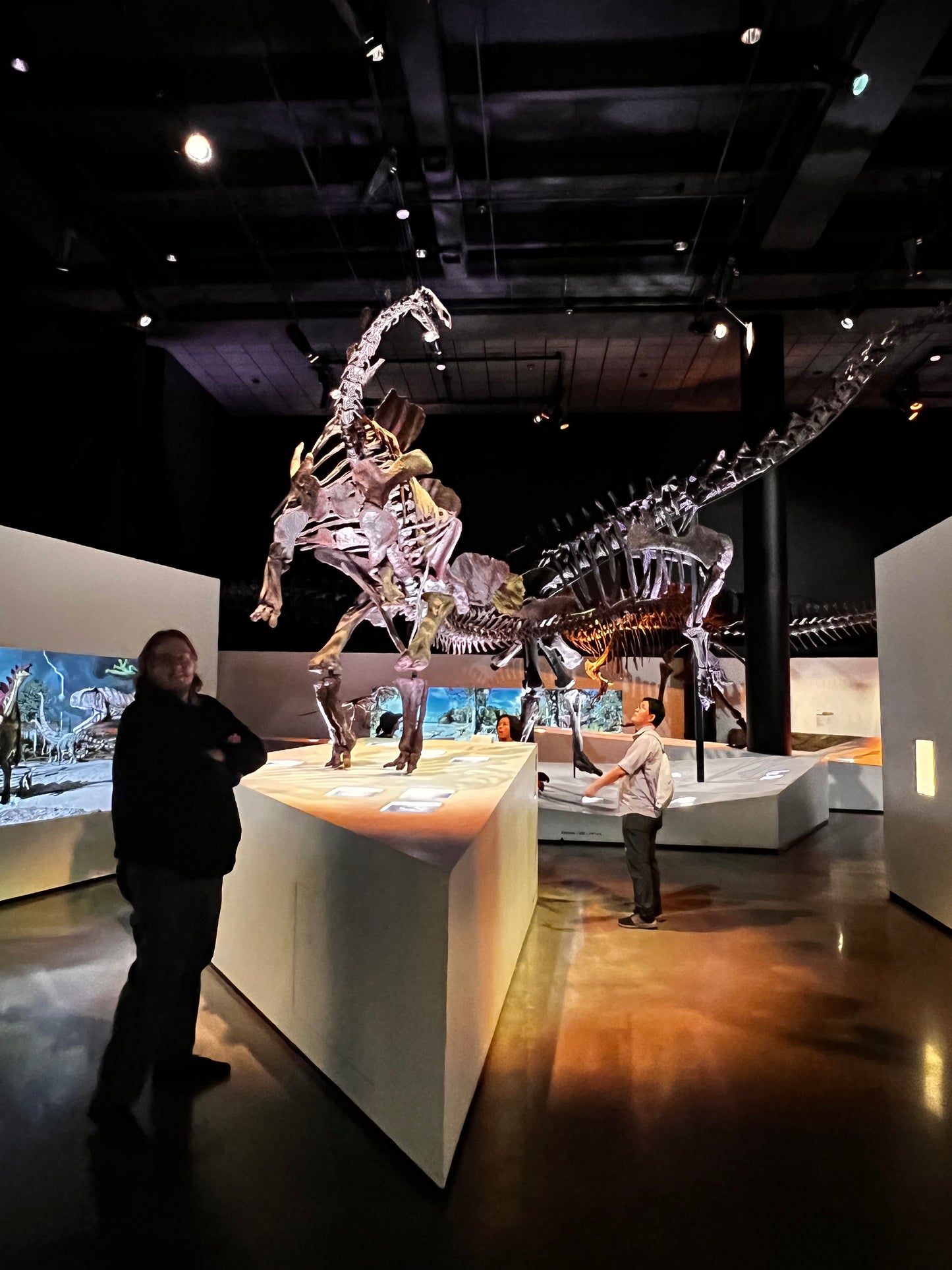 Enjoy a trip to Dinosaurs Exbition at  Houston Texas  Museum of Natural Sciences