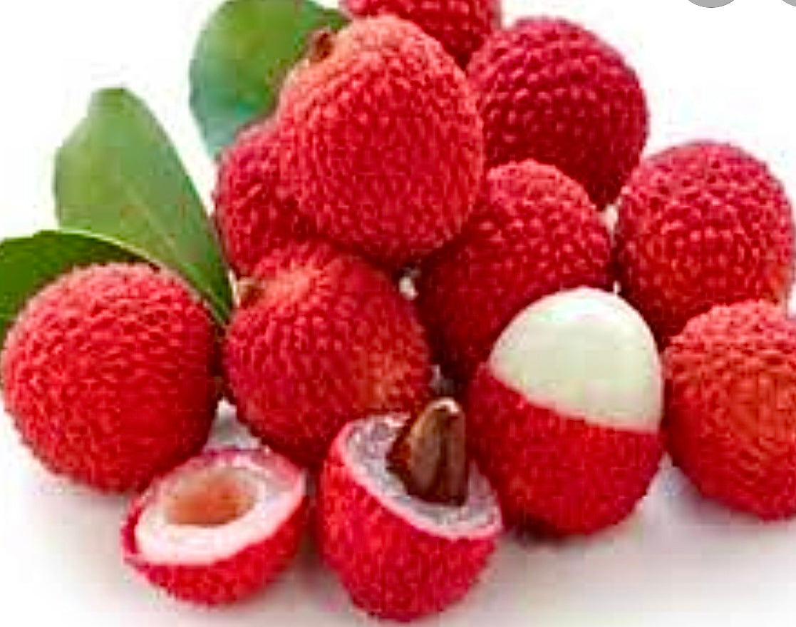 RAMBUTAN ORIENTAL LYCHEE SEED ONLY