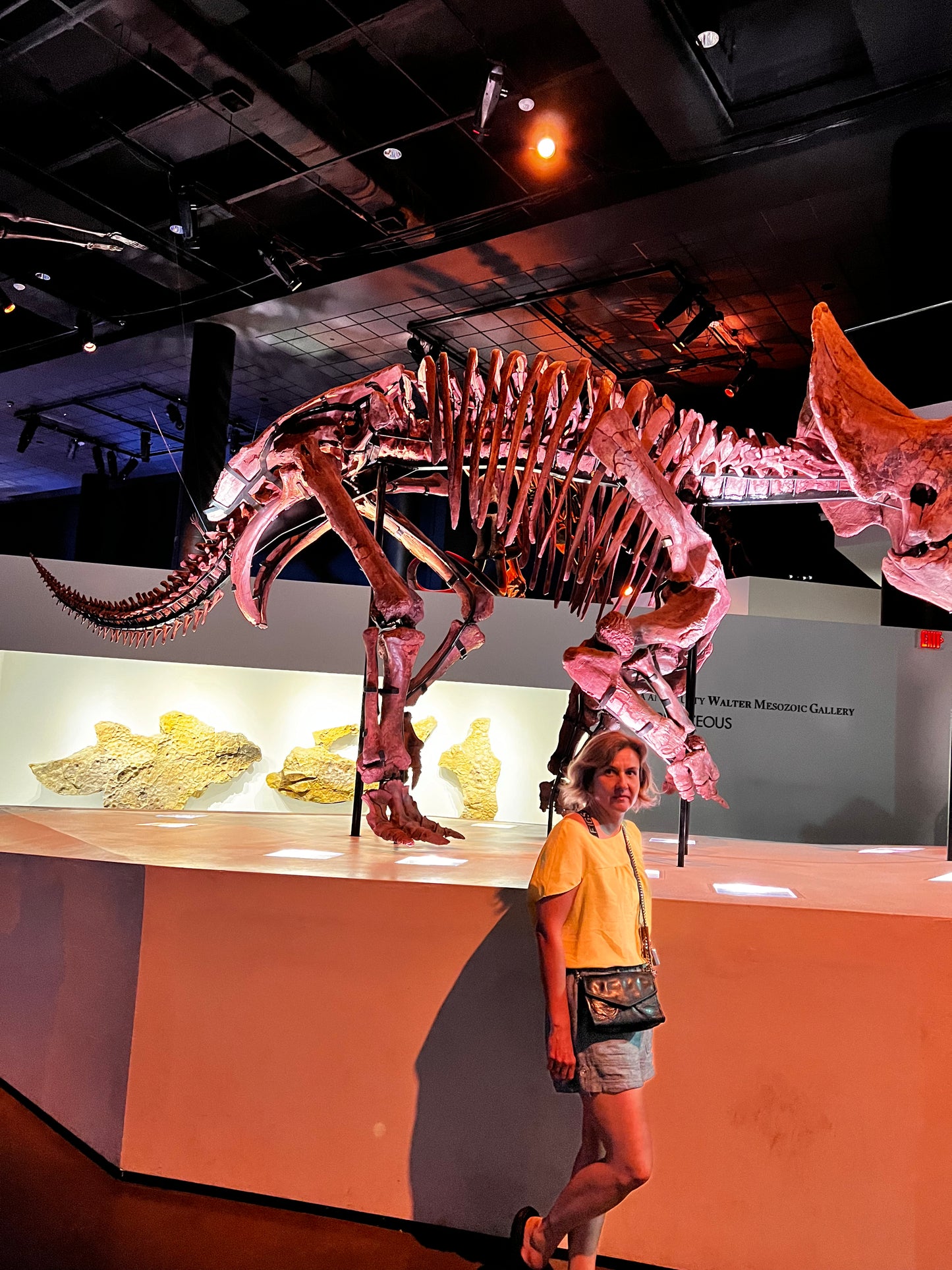 Enjoy a trip to Dinosaurs Exbition at  Houston Texas  Museum of Natural Sciences