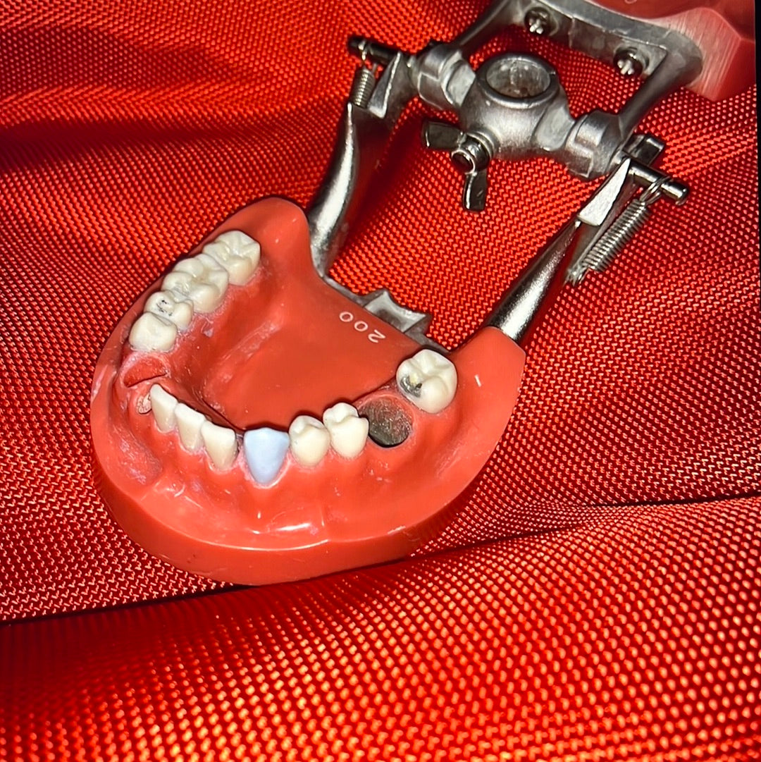 USED original KILGORE NISSIN Hard Gum 28 Teeth For Operative Crown & bridge