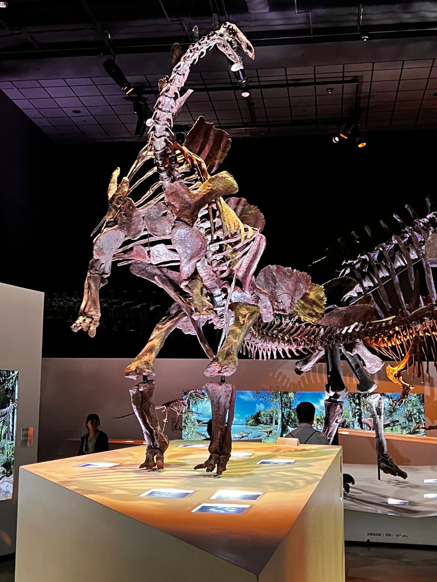 Enjoy a trip to Dinosaurs Exbition at  Houston Texas  Museum of Natural Sciences