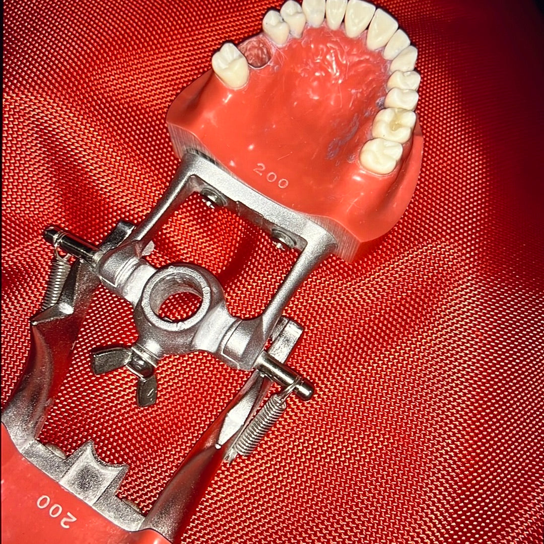 USED original KILGORE NISSIN Hard Gum 28 Teeth For Operative Crown & bridge