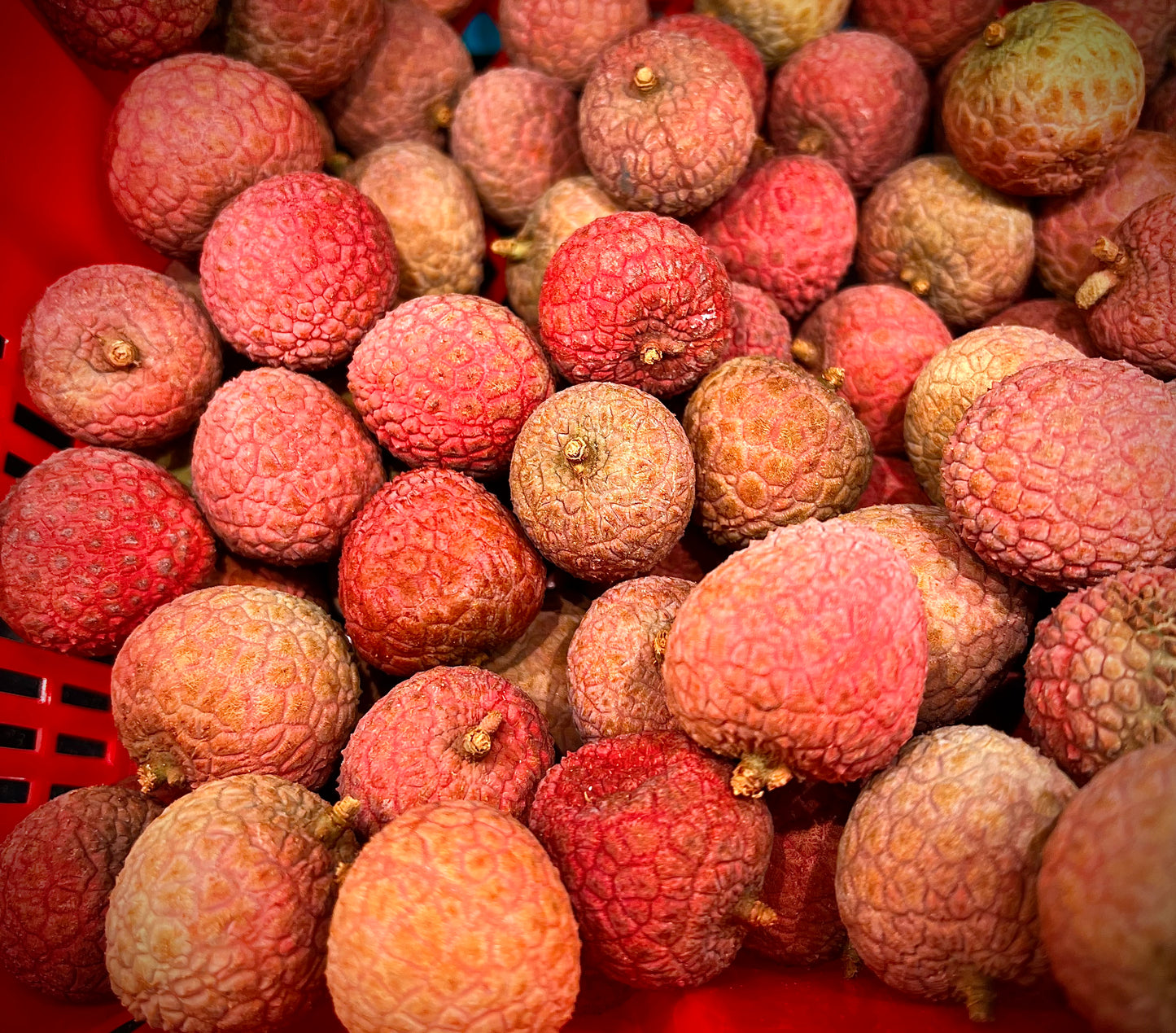 RAMBUTAN ORIENTAL LYCHEE SEED ONLY