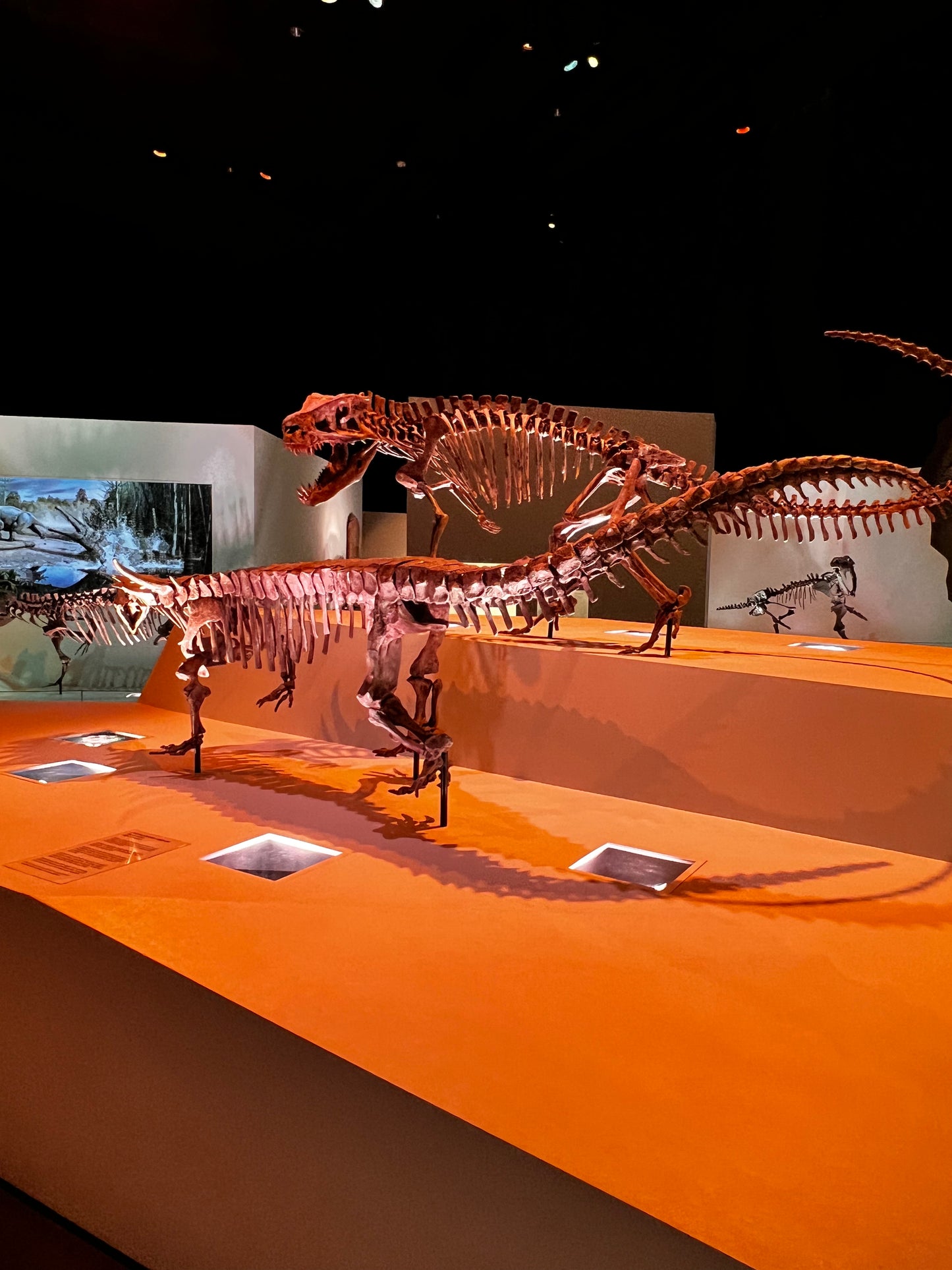 Enjoy a trip to Dinosaurs Exbition at  Houston Texas  Museum of Natural Sciences