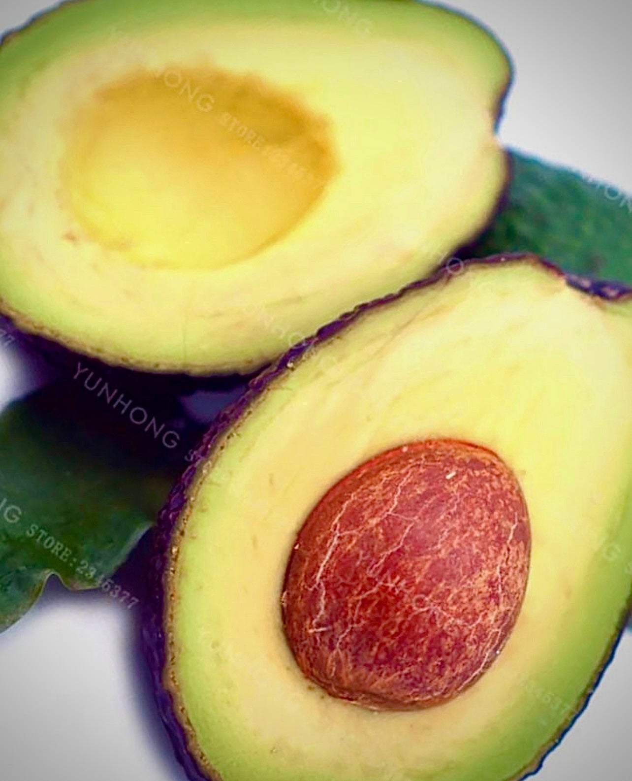 Avocado green Seed ONLY