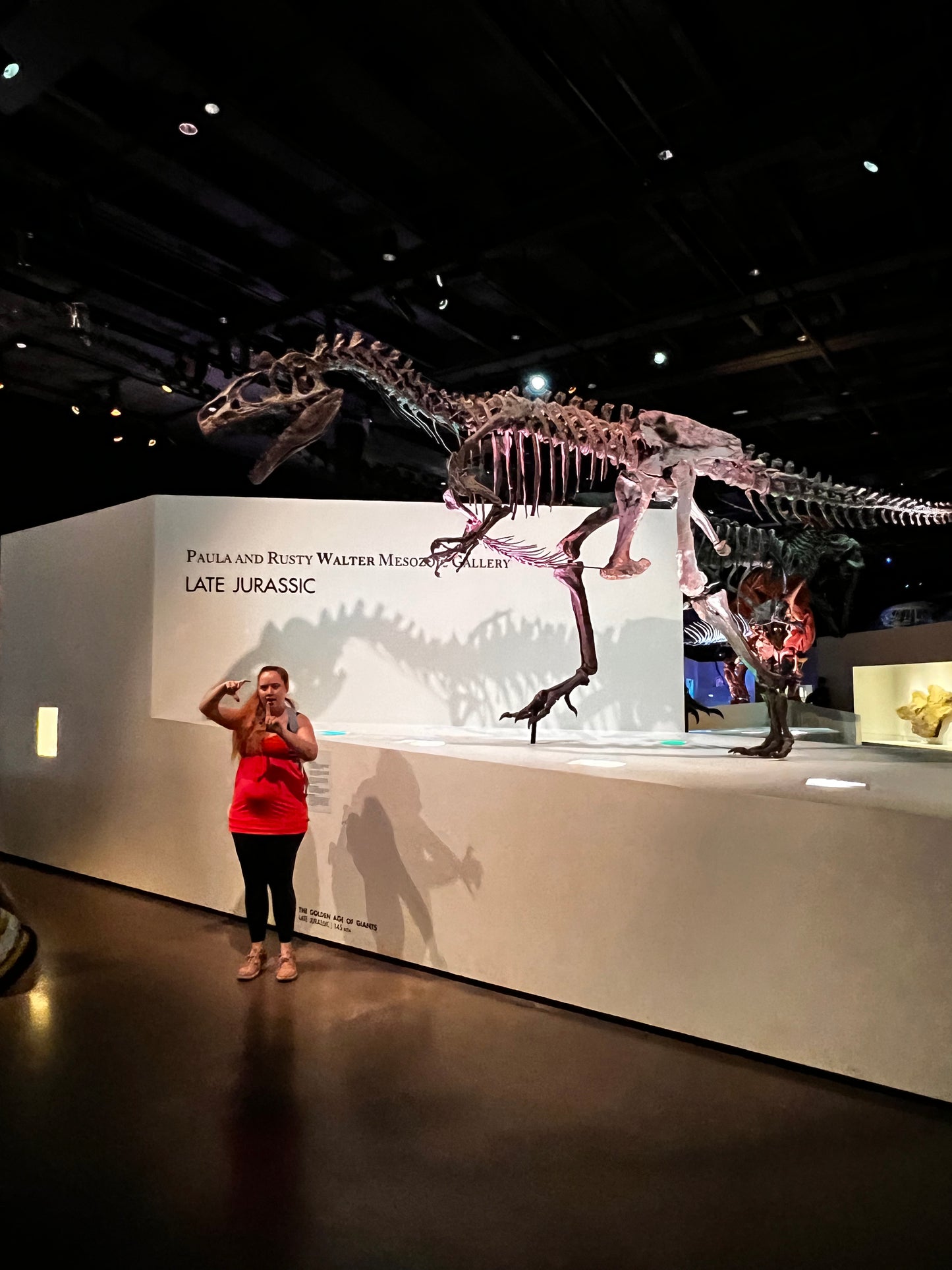 Enjoy a trip to Dinosaurs Exbition at  Houston Texas  Museum of Natural Sciences