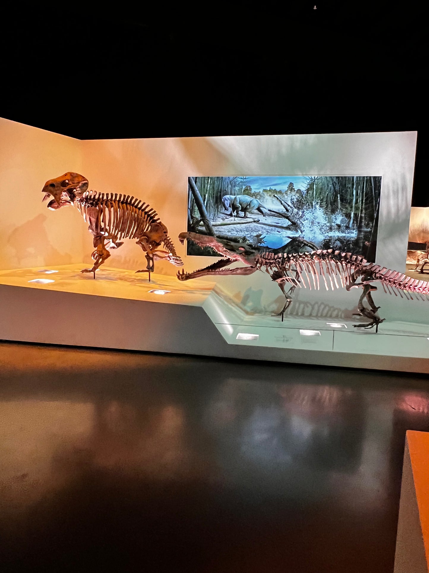 Enjoy a trip to Dinosaurs Exbition at  Houston Texas  Museum of Natural Sciences