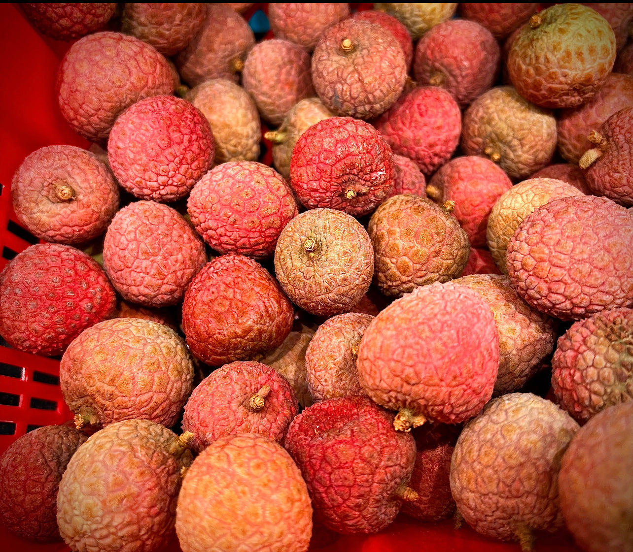 RAMBUTAN ORIENTAL LYCHEE SEED ONLY