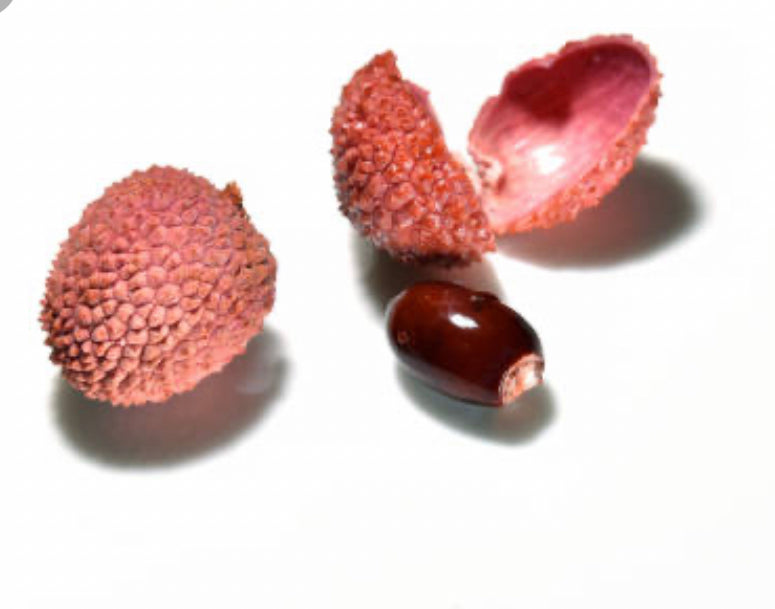 RAMBUTAN ORIENTAL LYCHEE SEED ONLY