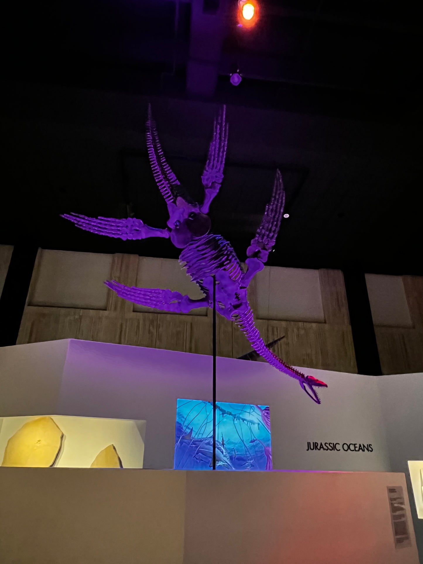 Enjoy a trip to Dinosaurs Exbition at  Houston Texas  Museum of Natural Sciences