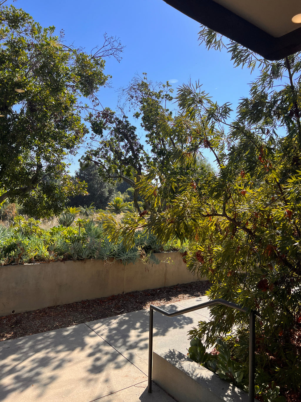 The Huntington Library Trip Los Angles 09022022