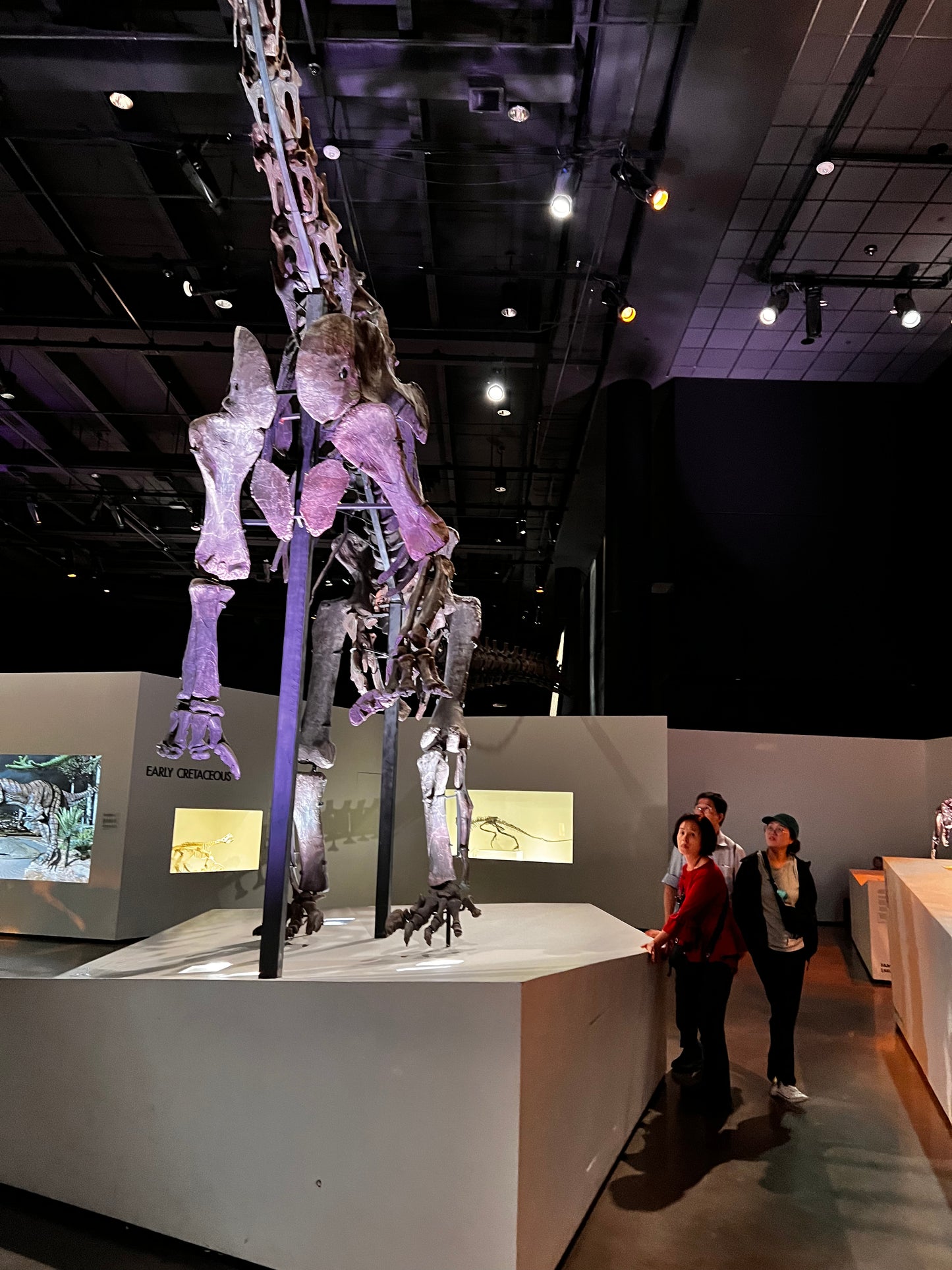 Enjoy a trip to Dinosaurs Exbition at  Houston Texas  Museum of Natural Sciences