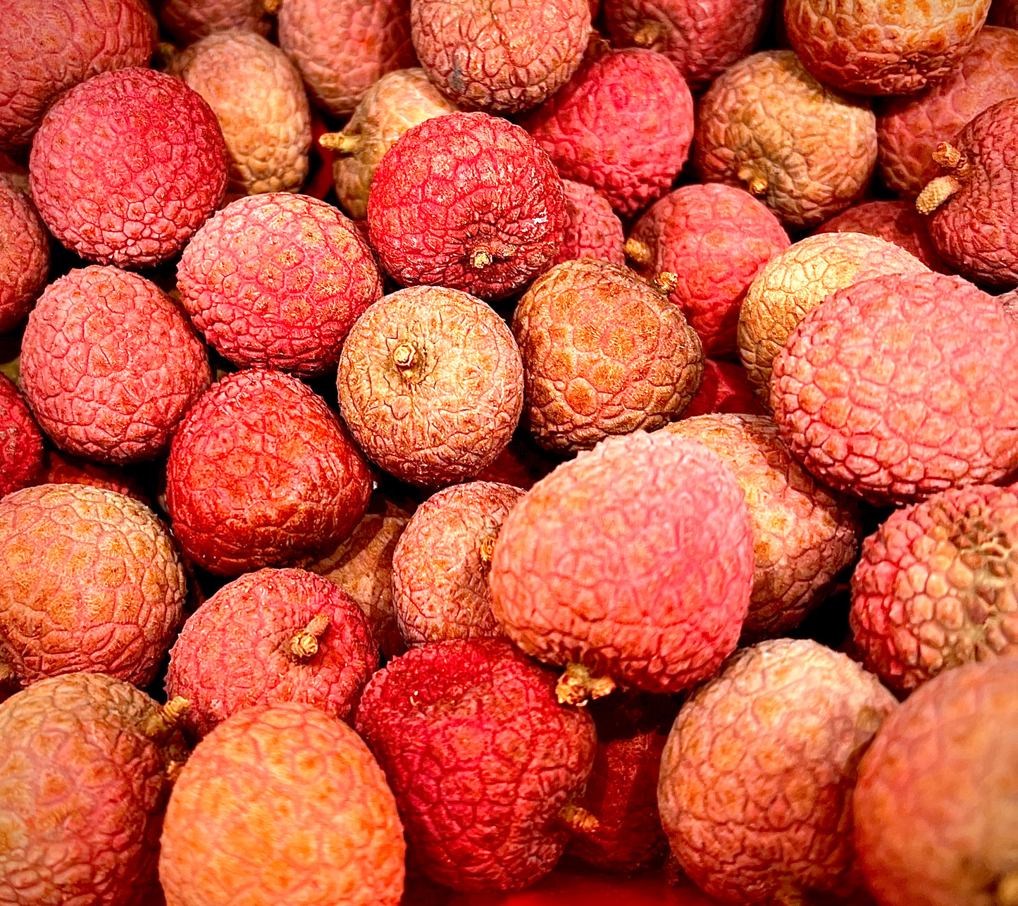 RAMBUTAN ORIENTAL LYCHEE SEED ONLY