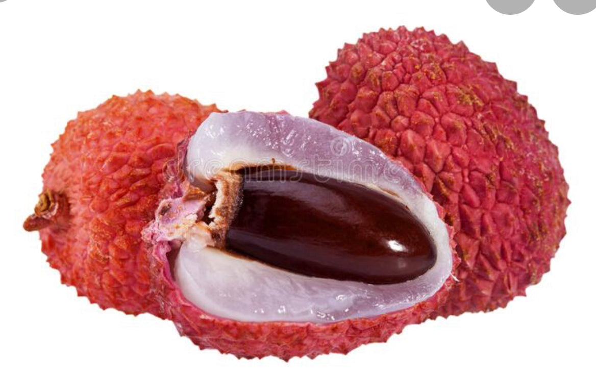 RAMBUTAN ORIENTAL LYCHEE SEED ONLY