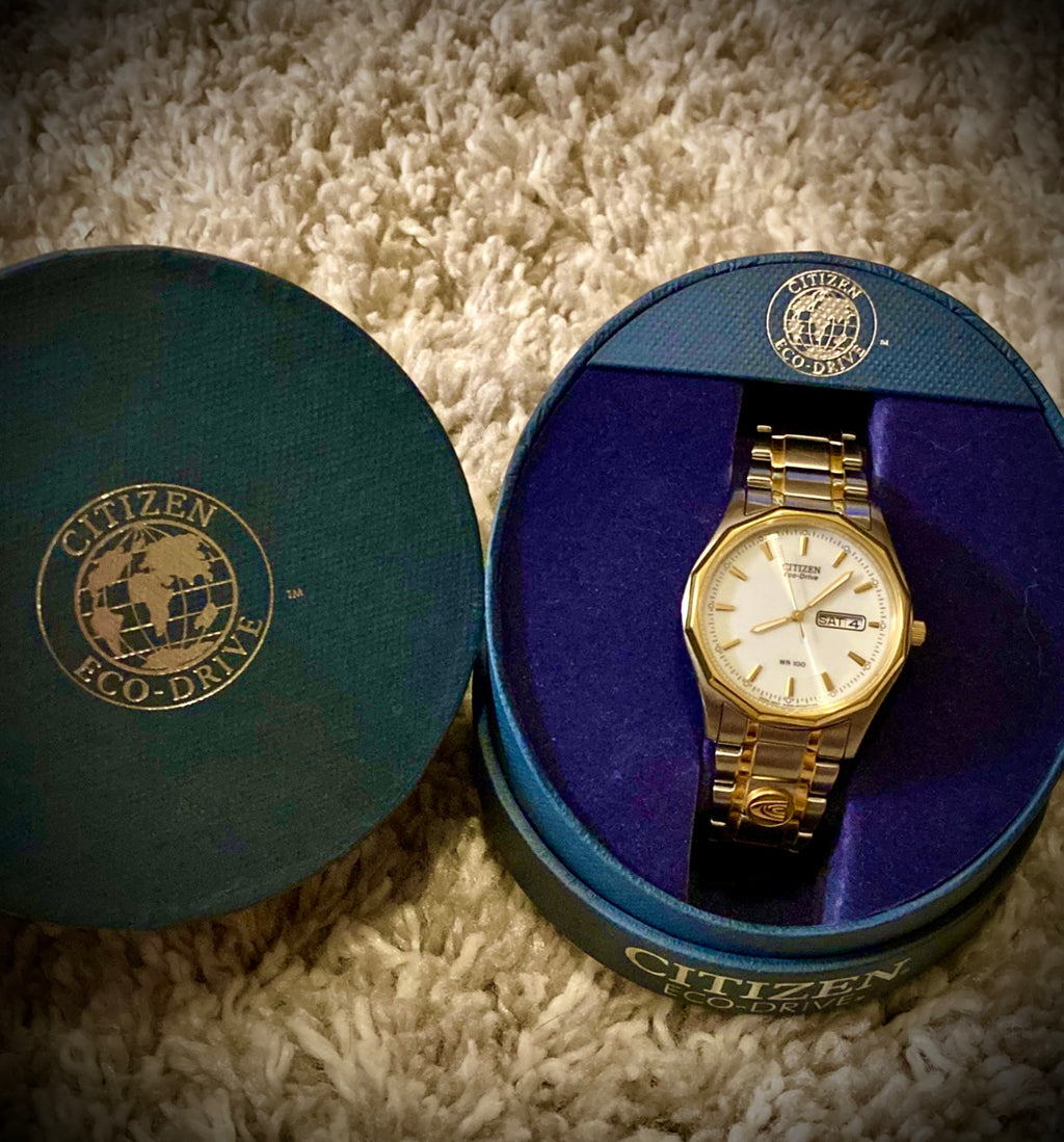 #883 Citizen Eco-Drive Men's Gold and Silver Watch Model E101-S053439